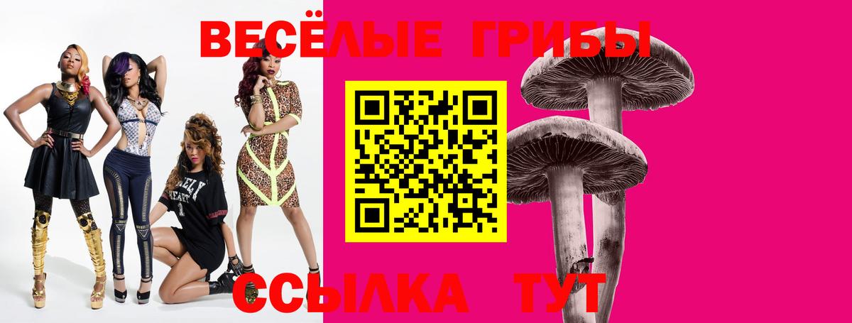Галлюциногенные грибы Cubensis  Вход с VPN  Галлюциногенные грибы Cubensis  Рубцовск 